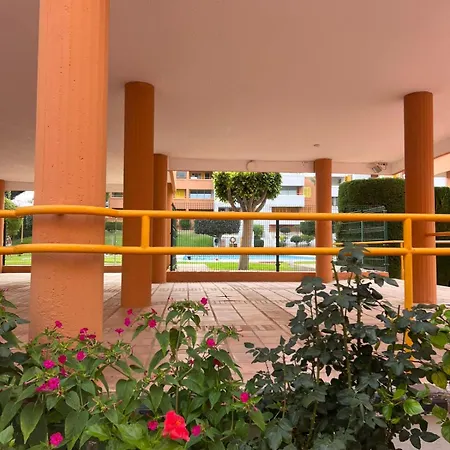 El Palmeral 1ª Linea